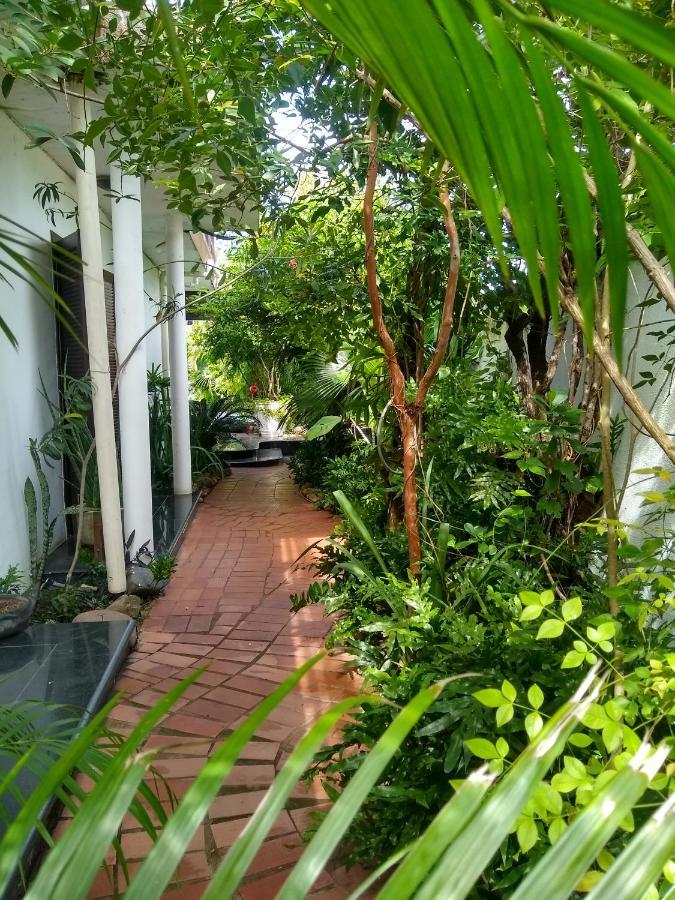 Guesthouse Mata Da Praia Vitória Dış mekan fotoğraf