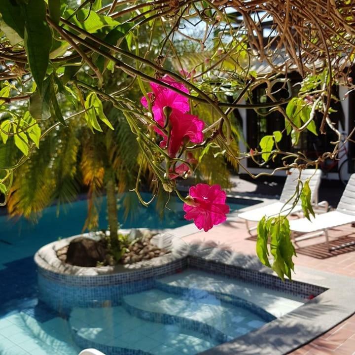 Guesthouse Mata Da Praia Vitória Dış mekan fotoğraf